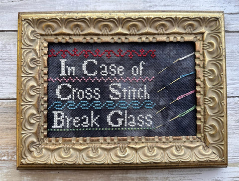 In Case of Cross Stitch (Lucy Beam)