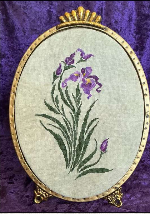 Purple Iris (Keslyns)