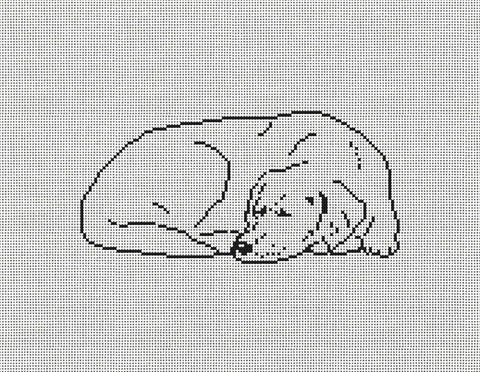 Sleeping Labrador (T&P Needlepoint)