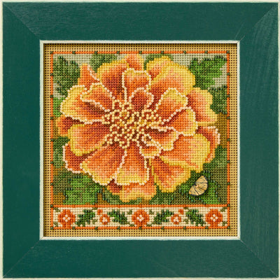 Marigold (2026) (Mill Hill)