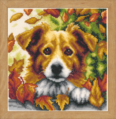Dog in Autumn (Vervaco)