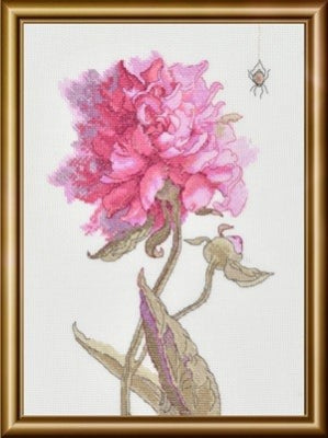 Peonies - Grace (Riolis)