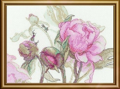 Peonies - Delight (Riolis)