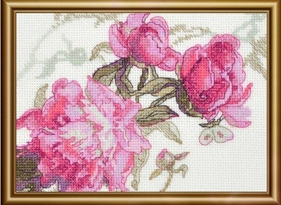 Peonies - Whisper (Riolis)