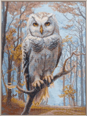 Wildwood Owl (Riolis)