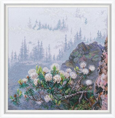 Wild Rosemary (RTO)
