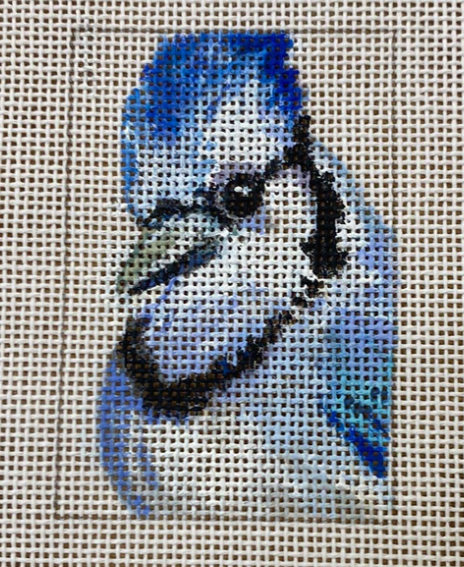 Blue Jay (Dockery Austin)