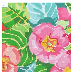 Painters Primrose 5 - 13M (Jean Smith)