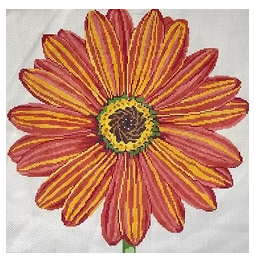 Sun Burst Daisy (Jean Smith)