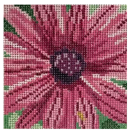 Full Bloom Painted Daisy (Jean Smith)