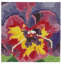 Full Bloom Pansy (Jean Smith)