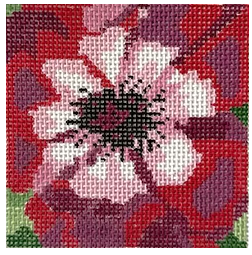 Full Bloom Anemone (Jean Smith)