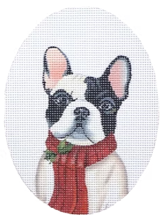 Boston Terrier Portrait (Danielle Murray)