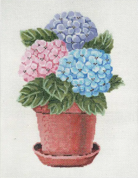 Pot of Hydrangeas (Melinda B McAra)