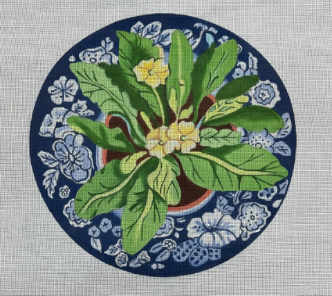 Primrose On Blue Plate (Susan Roberts)