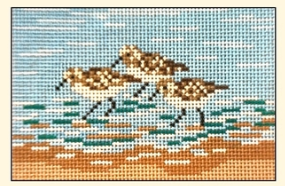 Sandpiper Passport Insert (Needle Crossings)