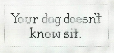 Your Dog doesn't know Sit (Heidi Stanley)