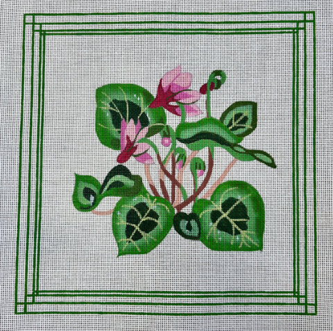 Cyclamen (Susan Roberts)