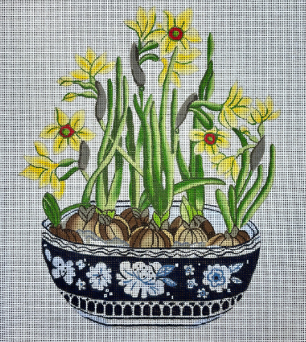 Narcissus in Planter (Susan Roberts)