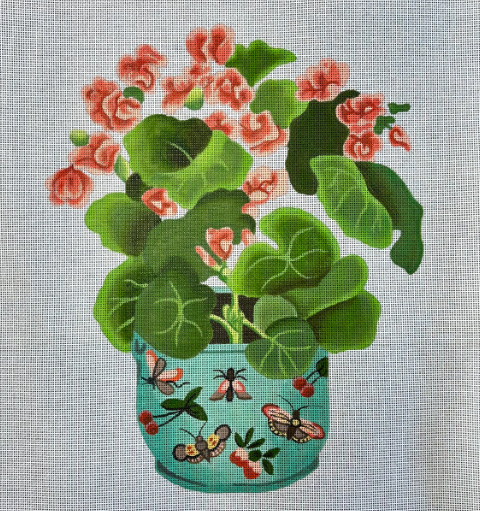 Shaped Begonia (Susan Roberts)