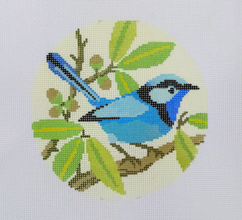 Splendid Fairy Wren (KCN Designers)