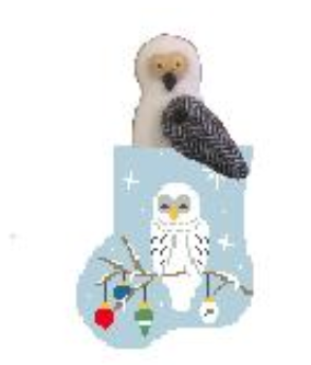 Snowy Owl w/Snowy Owl (Kathy Schenkel)