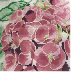 Large Pink Hydrangea (Jean Smith)