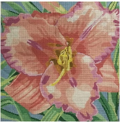 Favorite Day Lily (Jean Smith)
