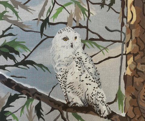GIA02 - Owl (Colors of Praise)