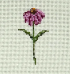 Mini Coneflower (Stitchtent)