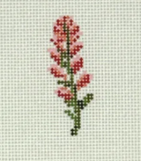 Mini Indian Paintbrush (Stitchtent)