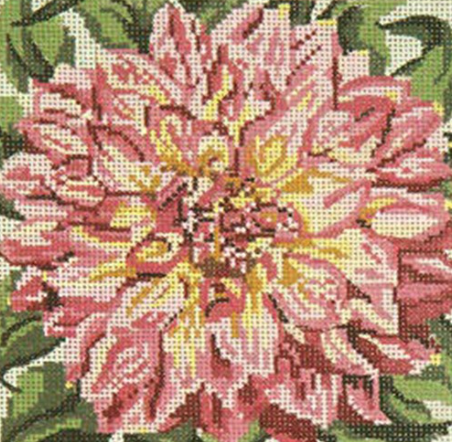 Pink-tipped Dahlia - 18M (Needle Crossings)