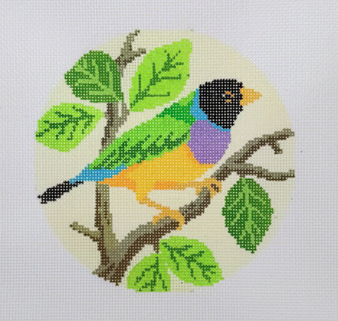 Gouldrian Finch (KCN Designers)