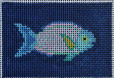 Parrot fish on Navy (Chris Lewis)