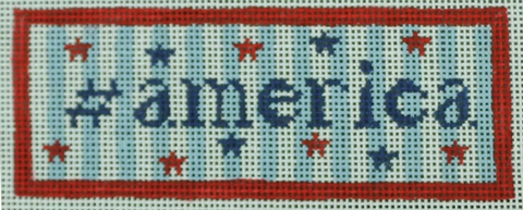#america (Chris Lewis)