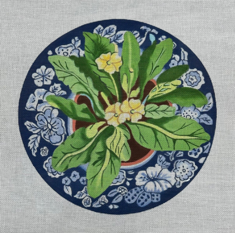 Primrose On Blue Plate (Susan Roberts)