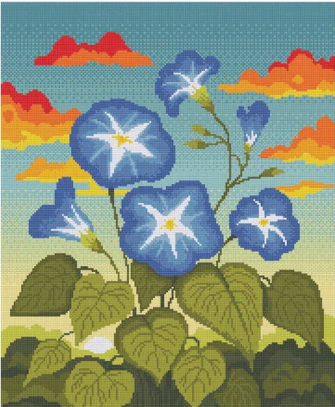 Morning Glory Sunrise (Vivsters)