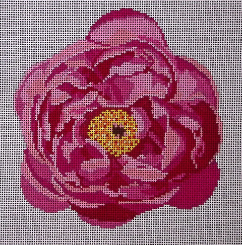 Peony (Enriched Designs)