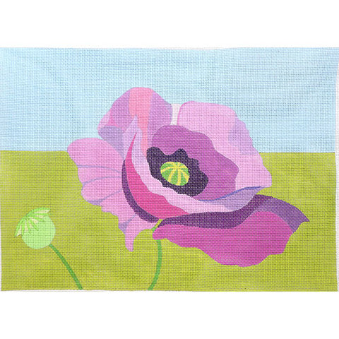 Purple Poppy (Zecca)