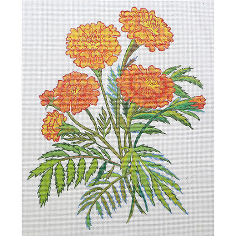 Marigold (Zecca)