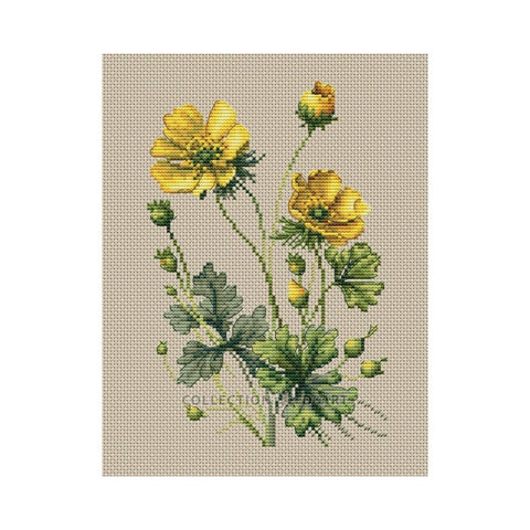 Buttercups (Collection D Art)