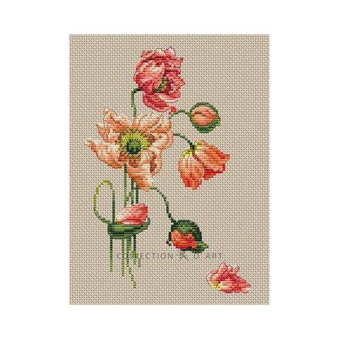 Poppy (Collection D Art)