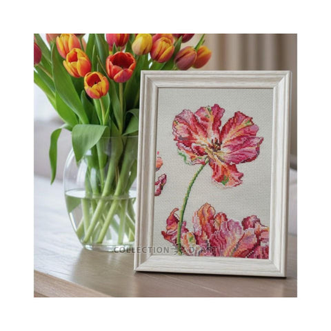 Tulip (Collection D Art)