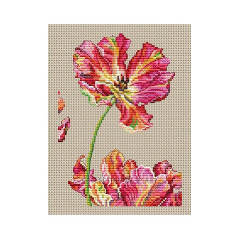 Tulip (Collection D Art)