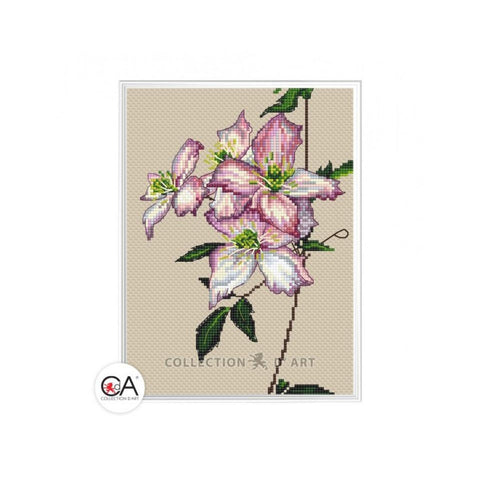 Clematis (Collection D Art)