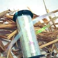 8032 Easter Grass - Kreinik 1/16 Ribbon