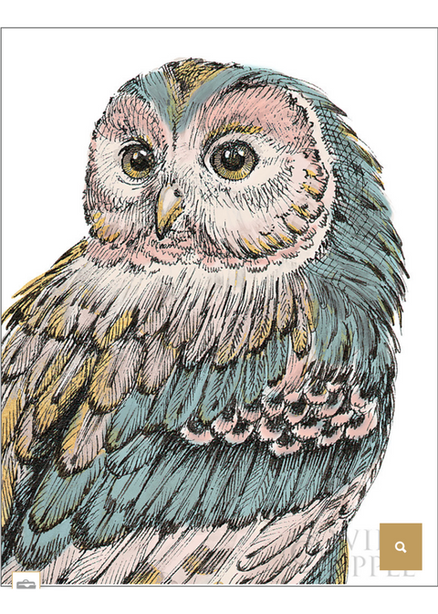 Beautiful Owl/Pastel (Oasis Needlepoint)