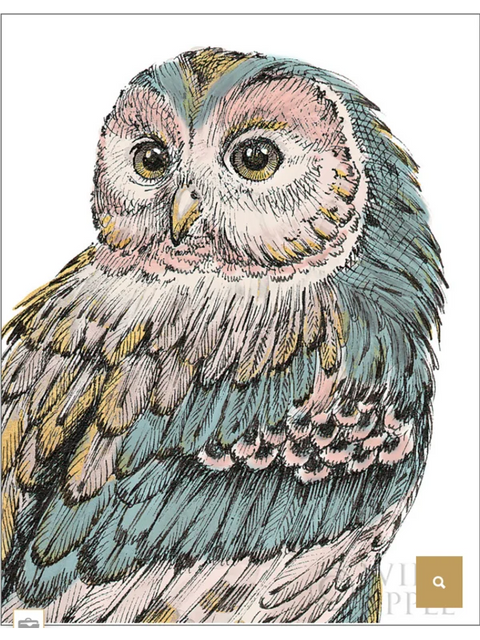 Beautiful Owl/Pastel (Oasis Needlepoint)