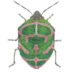 Little Bugs - Green & Pink (Meredith Collection)