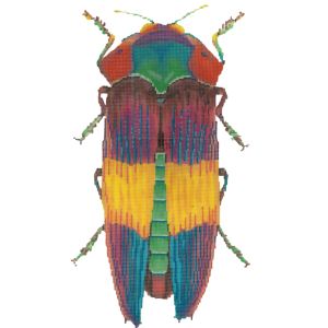 Little Bugs - Rainbow (Meredith Collection)